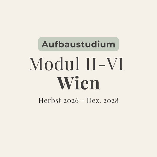 Dreijahres - Training - (Modul II - VI) Wien - Aufbaustudium - zeit - und - raum - Christian Meyer
