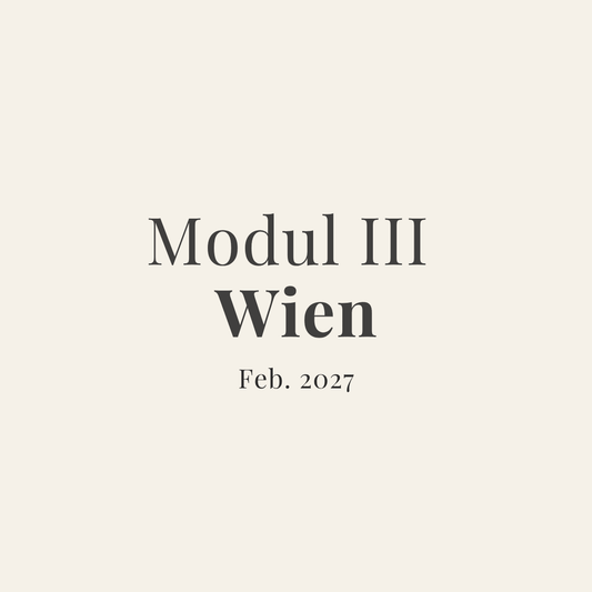 Dreijahres-Training Wien · Modul III - zeit-und-raum - Christian Meyer
