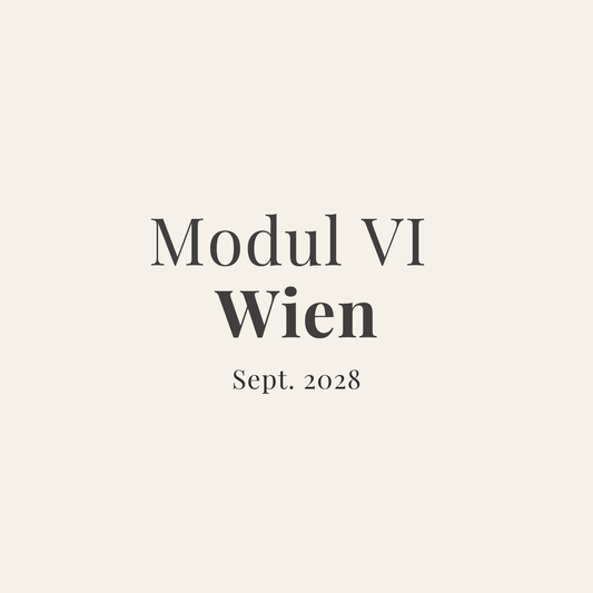 Dreijahres-Training Wien · Modul VI - zeit-und-raum - Christian Meyer